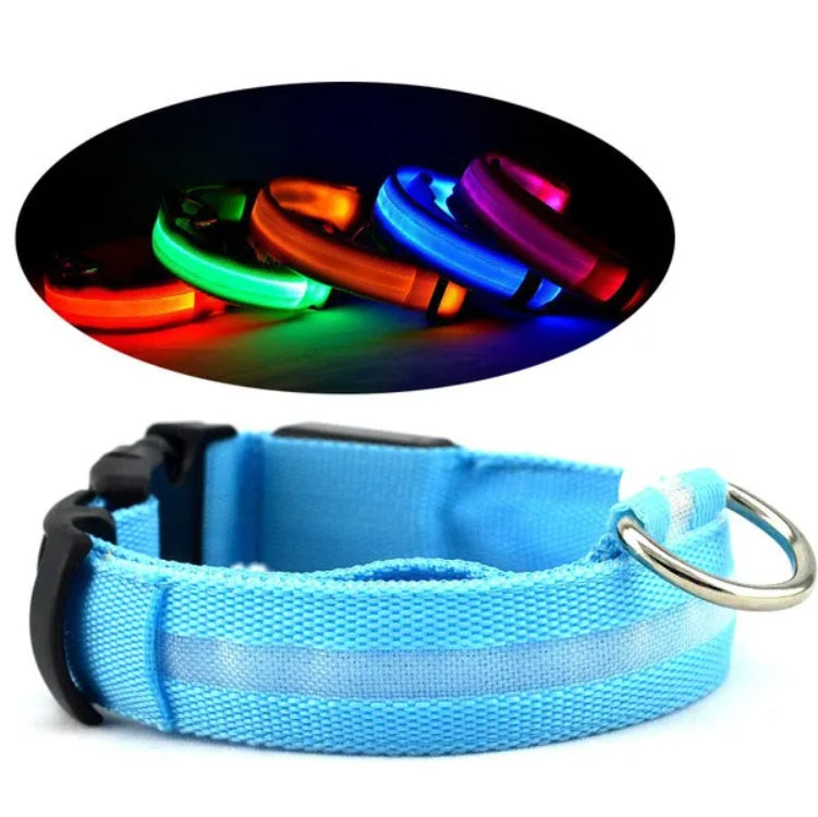 LED Safety Halo Style Collar Universal for Cats & Dogs Pets Possessions