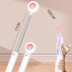 Retractable Cat Teaser Stick & Laser Pen Pets Possessions