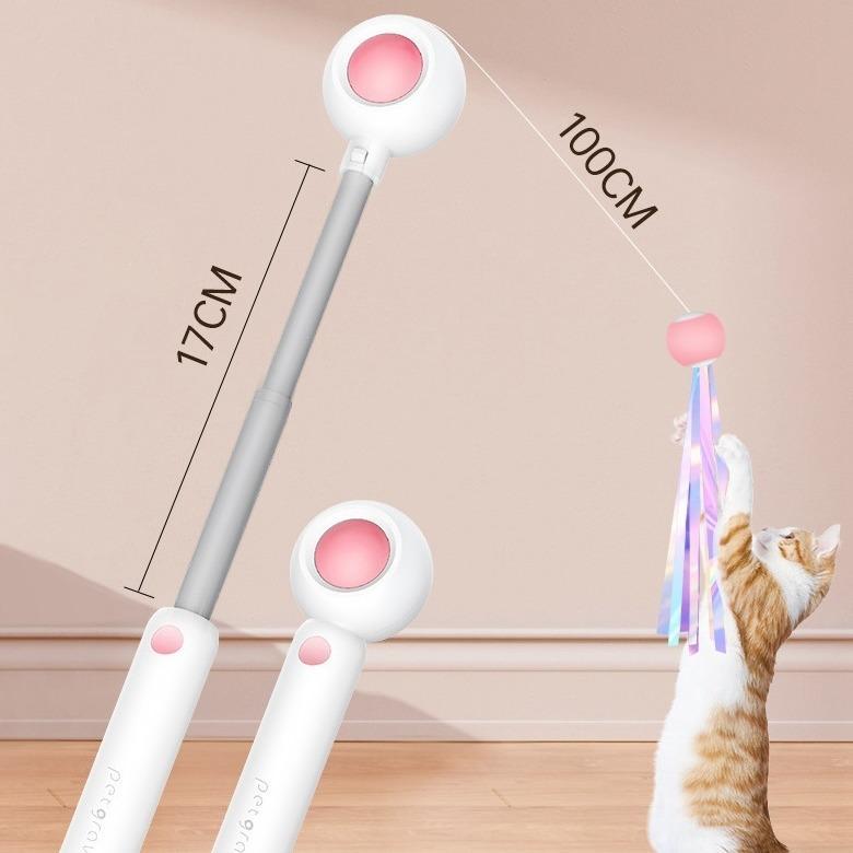 Retractable Cat Teaser Stick & Laser Pen Pets Possessions