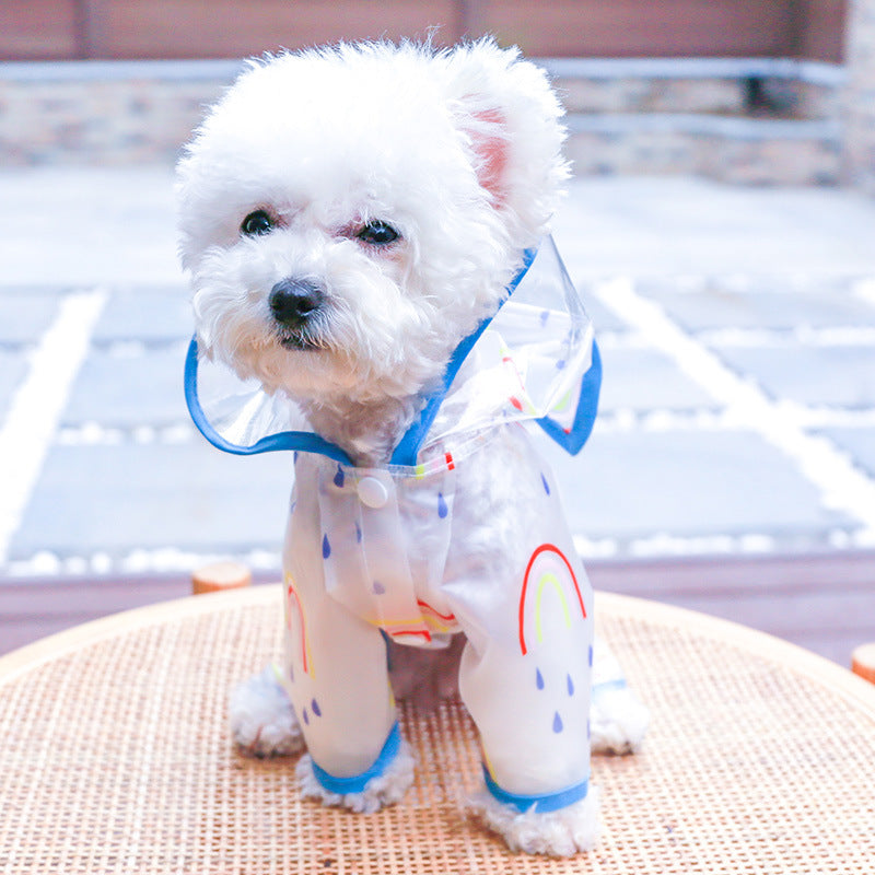 Cutesy Transparent Rainbow Raincoat for Dogs Pets Possessions LLC