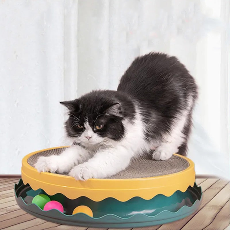 Compass Fun Interactive Cat Scratching Board Pets Possessions