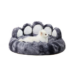 Comfy Paw Shaped Bed for Cats & Dogs Pets Possessions