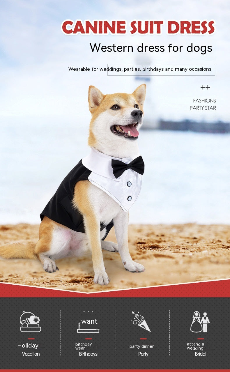 Holiday Wedding Party Dog Clothes Pets Possessions LLC