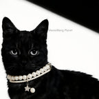 Elegant Adjustable Pearl Collar for Cats & Dogs Pets Possessions