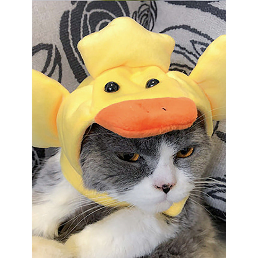 Funny Headpieces for Cats & Small Dogs Pets Possessions LLC