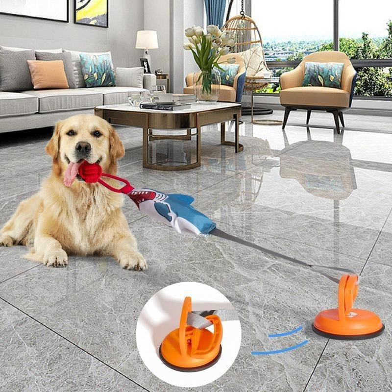 PROKEl Shark Shaped Interactive Twine Toy with Suction Cup for Cats & Dogs Pets Possessions