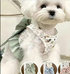 Elegant Bow Harness + Leash Set for Cats & Small Dogs Pets Possessions