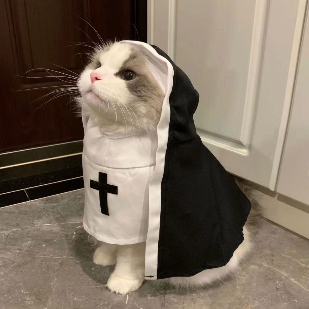 Holy Paws Nun – Black & White Cloak Costume for Cats & Dogs Pets Possessions LLC