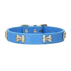 Rad PU Leather Collars for Dogs & Cats Pets Possessions LLC