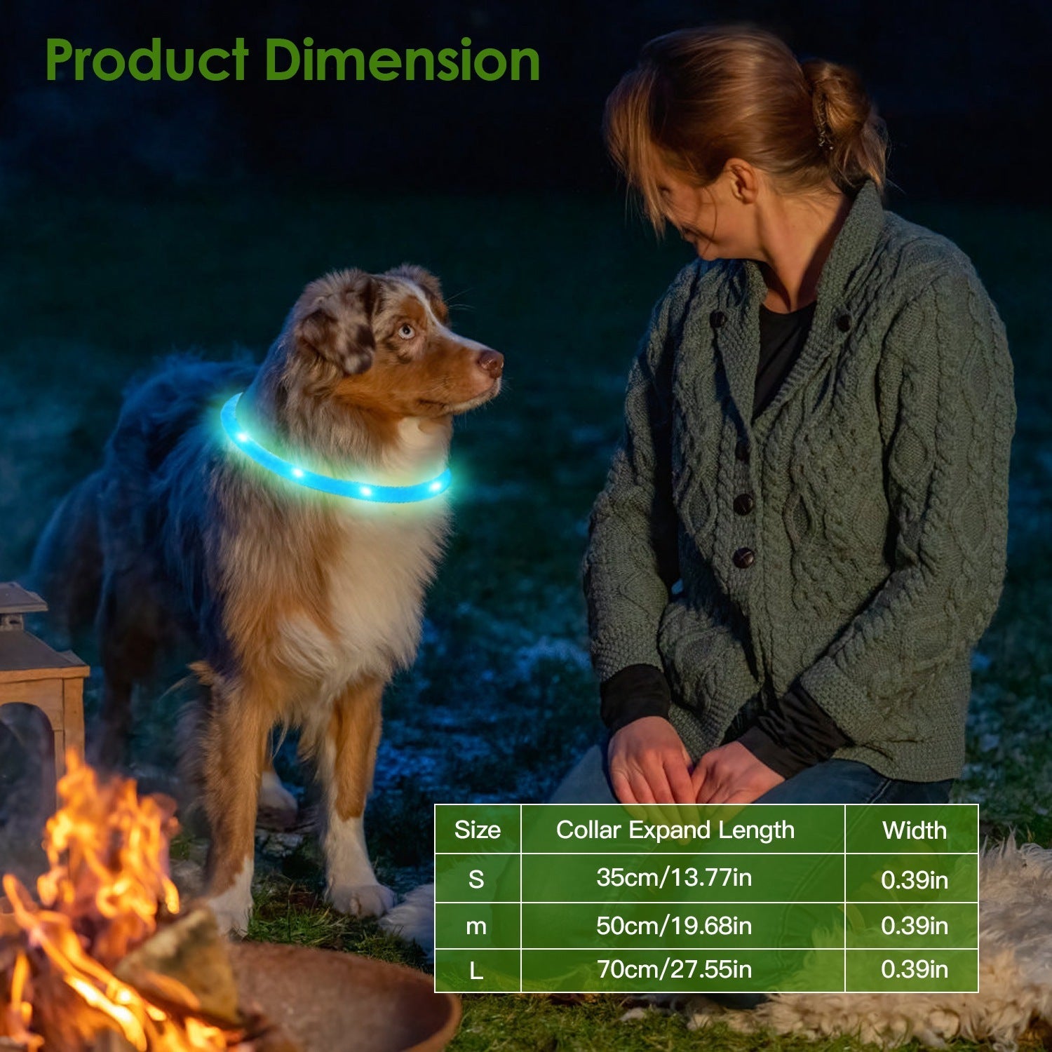 USB Rechargeable LED with Multi Color Lighting for Cats & Dogs Pets Possessions