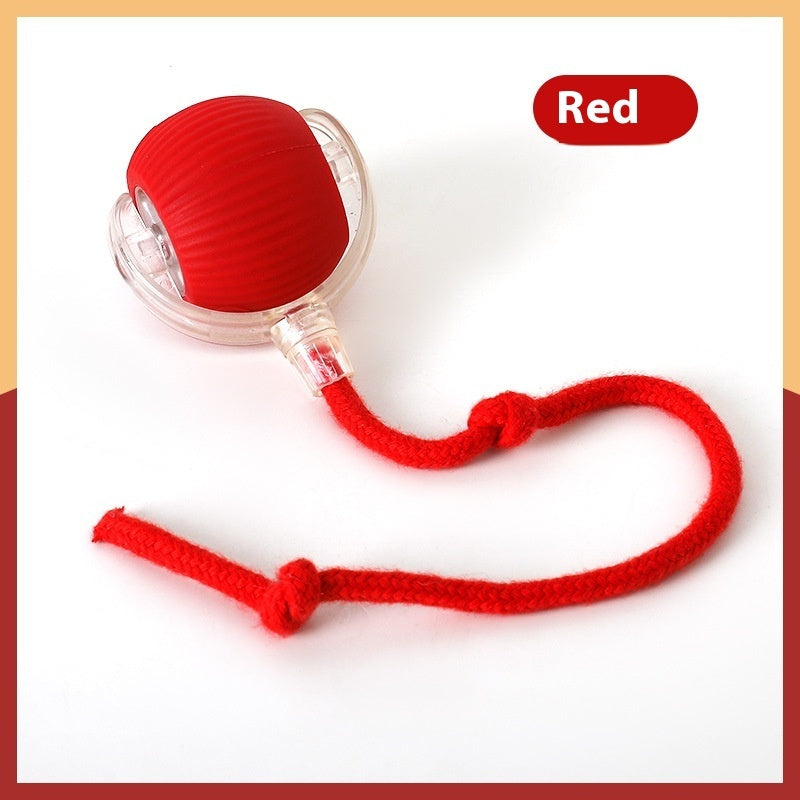 Smart Interactive Super Drive Cat Rolling Ball Pets Possessions