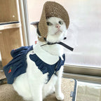 Vintage Classy Coffee Crochet Hat for Cats and Small Dogs Pets Possessions LLC