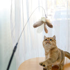 Retractable Cat Teaser Stick & Laser Pen Pets Possessions