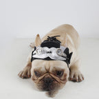 Pet Products Party Dress Fight Pets Possessions LLC