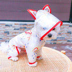 Cutesy Transparent Rainbow Raincoat for Dogs Pets Possessions LLC