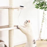 Interactive Electronic Motion Cat Toy (Fun to watch) Pets Possessions