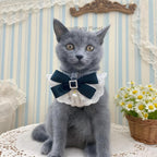 Luxury Lace Harness + Leash Set for Cats & Small Dogs Pets Possessions
