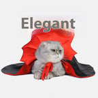 Spooky Vampire Gothic Halloween Costume for Cats & Dogs Pets Possessions