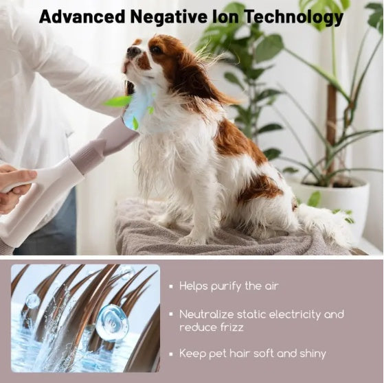 Smart Professional-Grade Grooming Blow Dryer with 4 Detachable Nozzles for Cats & Dogs Pets Possessions