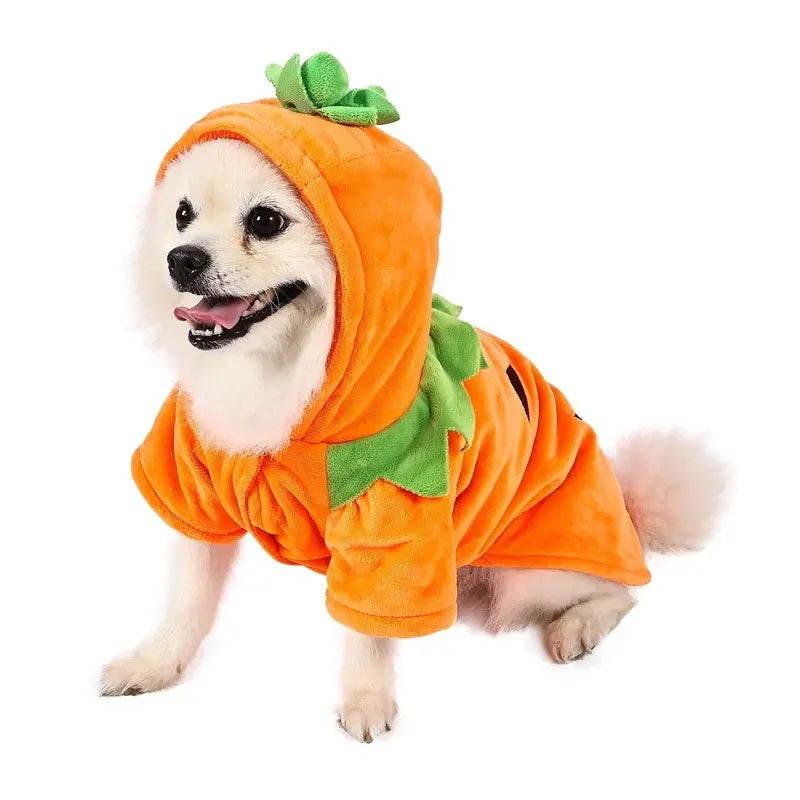 Adorable Halloween Pumpkin Costume for Dogs Pets Possessions