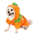 Adorable Halloween Pumpkin Costume for Dogs Pets Possessions