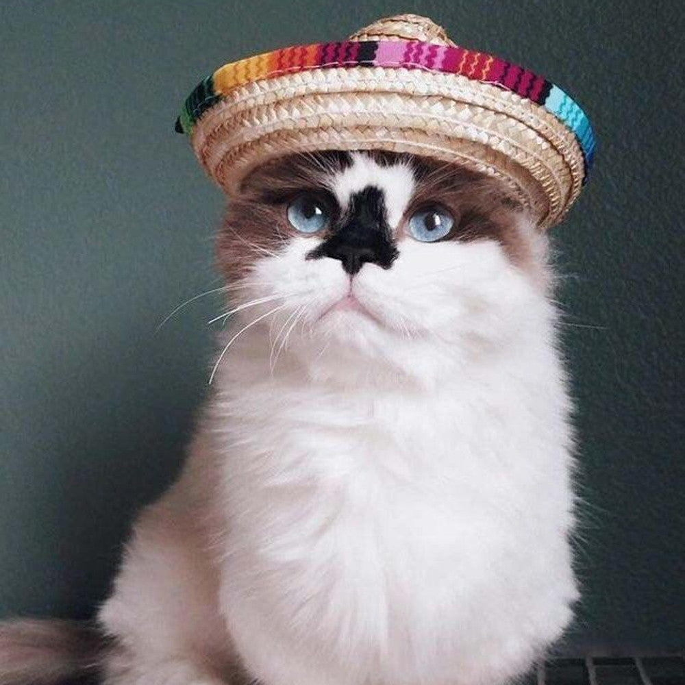Festive Cinco de Mayo Straw Hat for Cats & Small Dogs