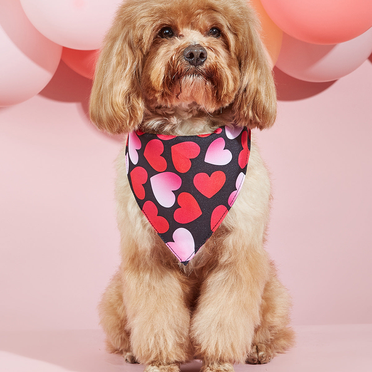 Trendy Valentines Day Scarves for Cats & Dogs Pets Possessions LLC