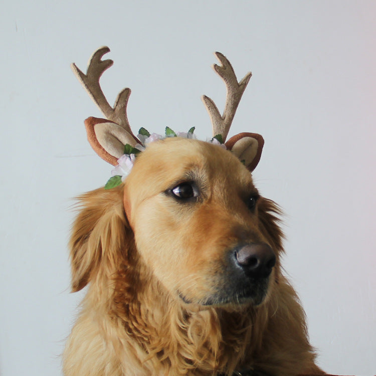 Christmas Headgear for Cats & Dogs Pets Possessions