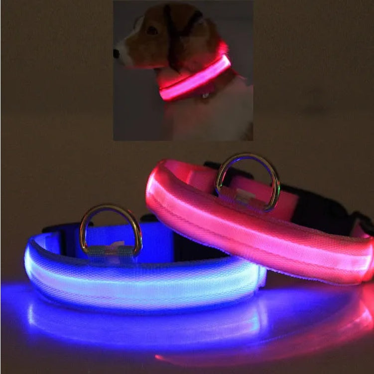 LED Safety Halo Style Collar Universal for Cats & Dogs Pets Possessions