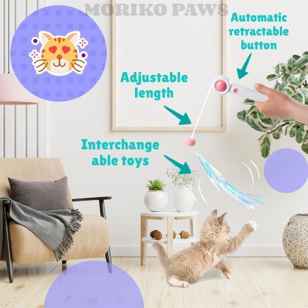 Retractable Cat Teaser Stick & Laser Pen Pets Possessions