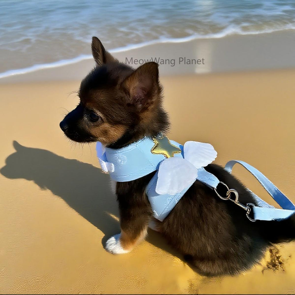 Heavenly Angel Wings Harness + Leash Set for Cats & Small Dogs Pets Possessions