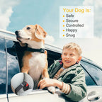 2Pcs Adjustable Seat Belt Leash with Harness for Cats & Dogs Pets Possessions