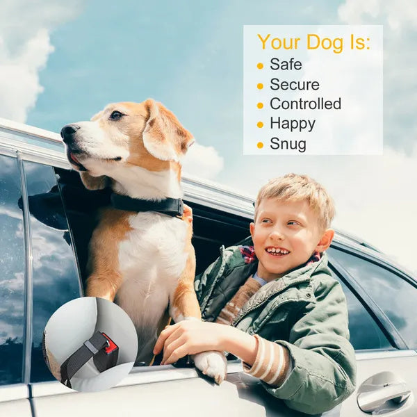 2Pcs Adjustable Seat Belt Leash with Harness for Cats & Dogs Pets Possessions