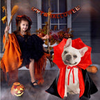 Spooky Vampire Gothic Halloween Costume for Cats & Dogs Pets Possessions
