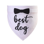 Beautiful Double-layer Wedding Pet Scarves for Cats & Dogs Pets Possessions LLC