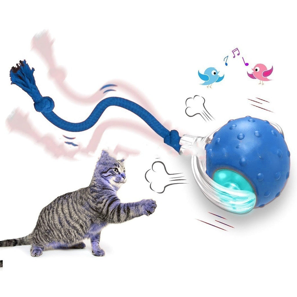 Smart Interactive Super Drive Cat Rolling Ball Pets Possessions