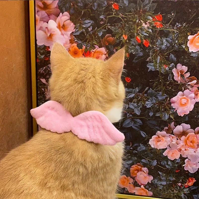 New Cat Specific Pet White Collar Angel Wing Accessories Outdoor Dog Neck Rings Butterfly Tie Supplies Pet Decoration Supplies Pets Possessions LLC