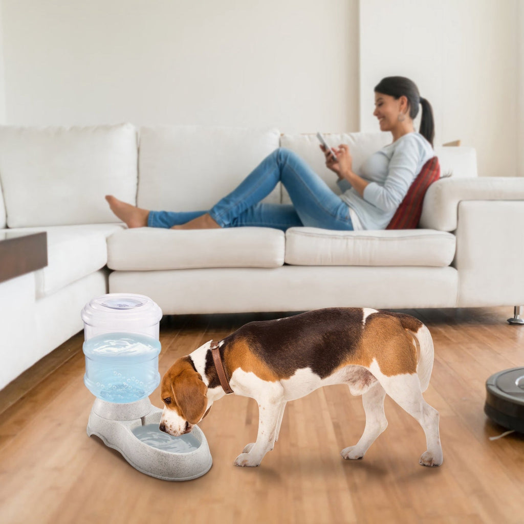 1Gal Pet Water Dispenser for Cats & Dogs Pets Possessions