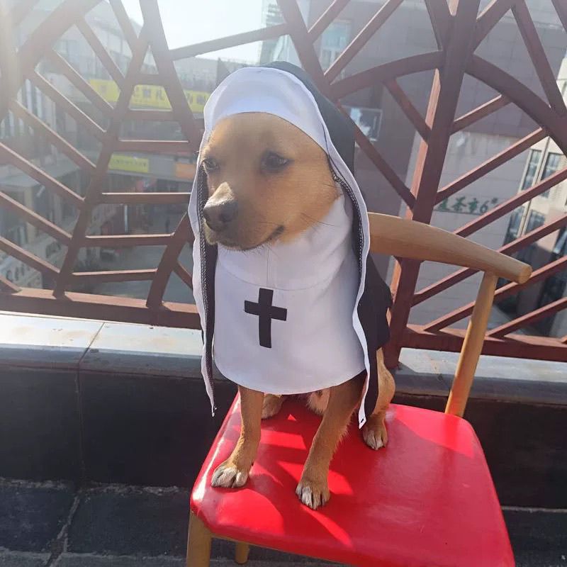 Holy Paws Nun – Black & White Cloak Costume for Cats & Dogs Pets Possessions LLC