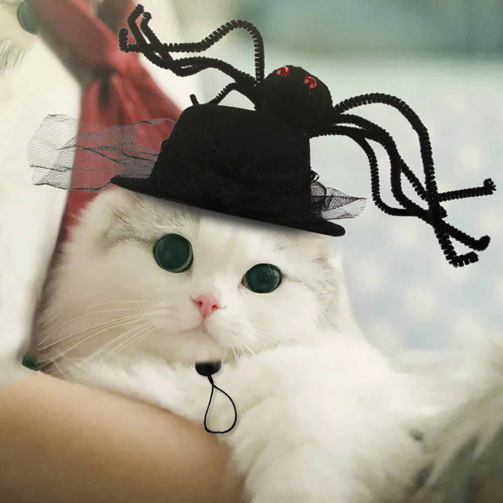 Funny Headpieces for Cats & Small Dogs Pets Possessions LLC