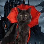 Spooky Vampire Gothic Halloween Costume for Cats & Dogs Pets Possessions
