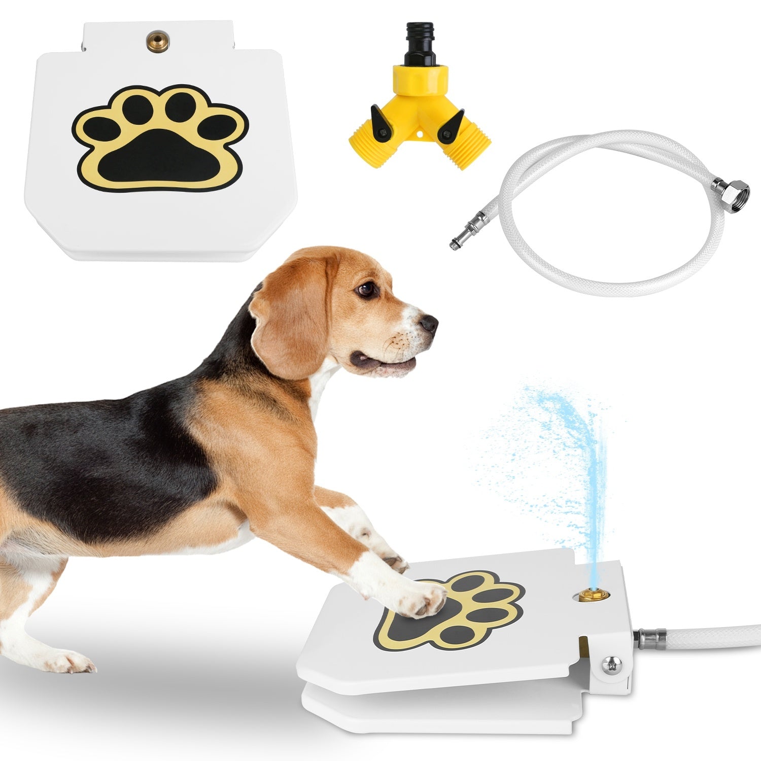 Paw Activated Water Dispenser for Dogs Pets Possessions