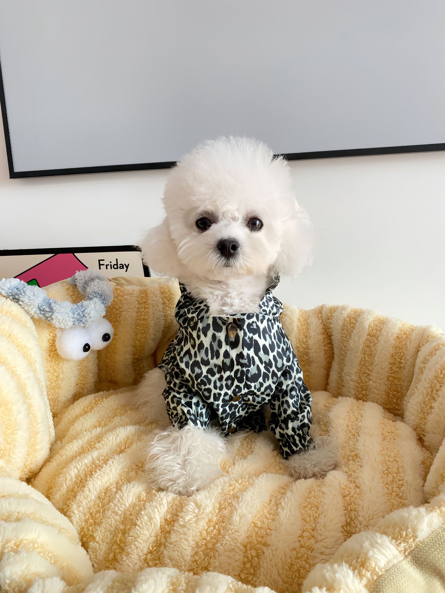 Fashionable Cat & Dog Trench Coat – Fun Leopard & Dinosaur Patterns Pets Possessions LLC
