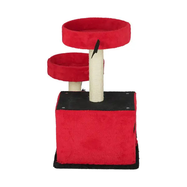 Spooktacular Halloween Themed Cat Tree with Spacious Condo 2 Perches and Spider Toy Pets Possessions