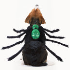 Sequined Spider Halloween Costume for Cats & Dogs Pets Possessions