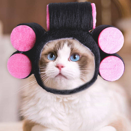 Funny Headpieces for Cats & Small Dogs Pets Possessions LLC