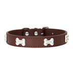 Rad PU Leather Collars for Dogs & Cats Pets Possessions LLC
