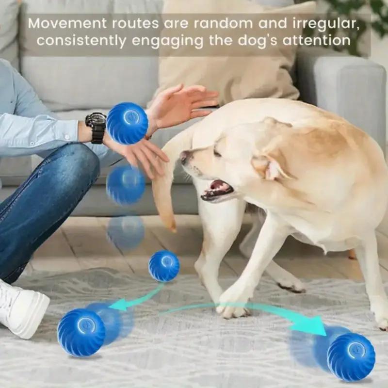 Pet Bouncing Ball Great for Exercising, Training and Pet Stimulation for Cats & Dogs