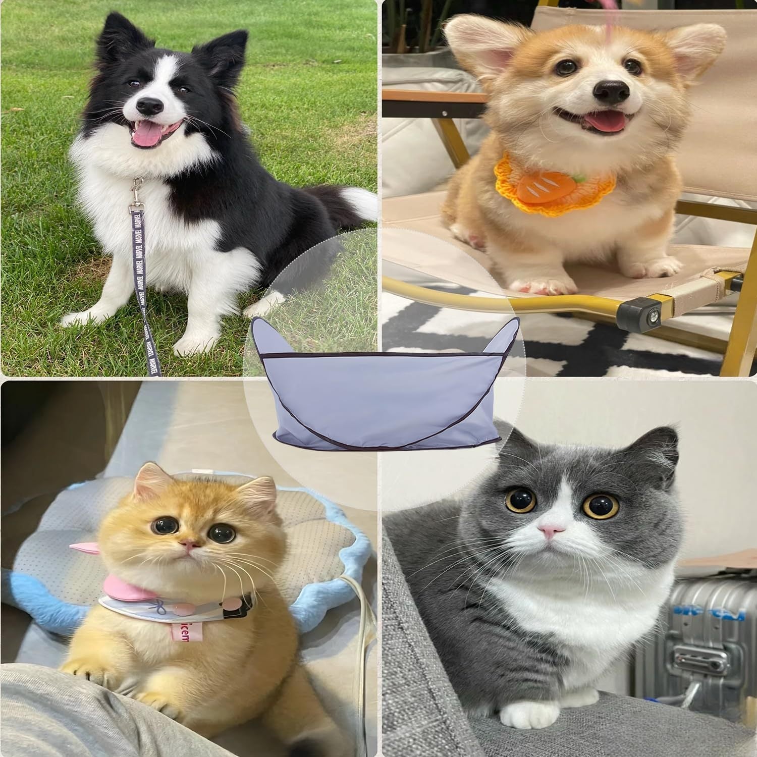 2-in-1 Waterproof Hair Catcher Tent with Adjustable Barbering Cape for Bathing and Easy Pet Grooming for Dogs & Cats Pets Possessions