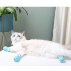 Multifunctional Anti-Scratch Cat Foot Cover Pets Possessions